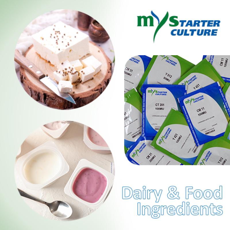 Starter Kültürler