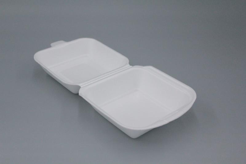 Foam Plate