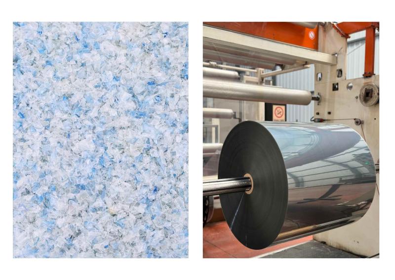 pet flakes & pet film