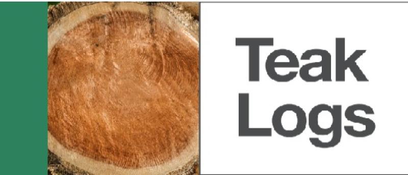 Tomruk