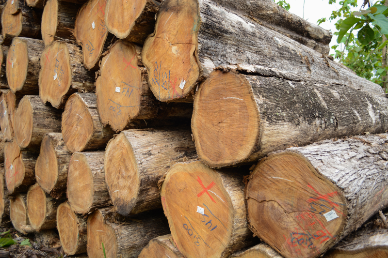 Log