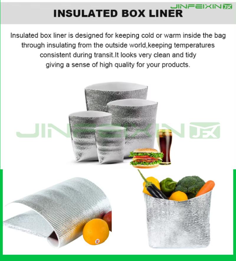 Thermal Insulated Food Bag