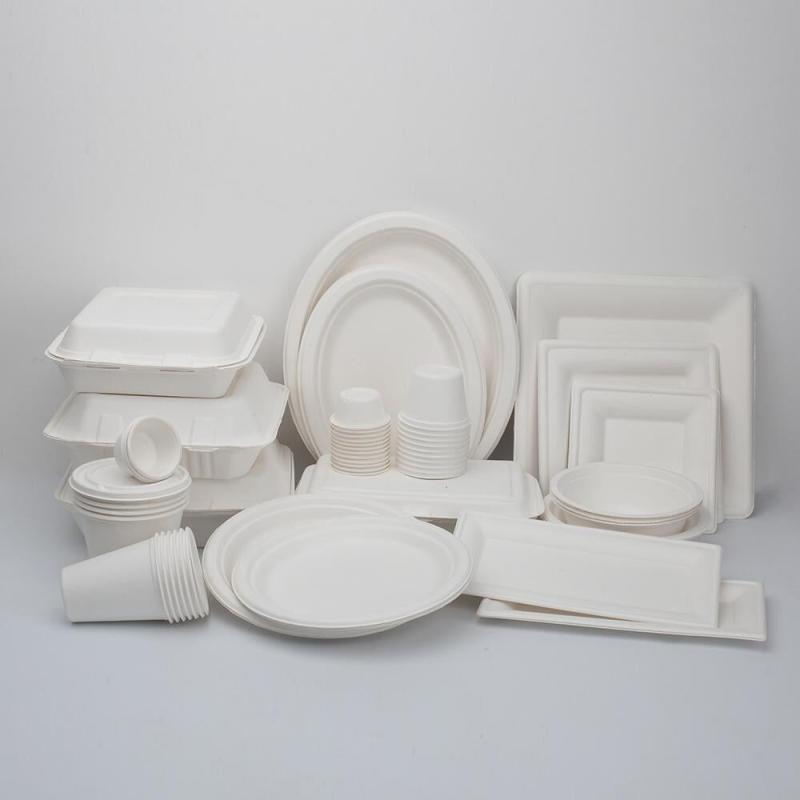 Tek Kullanımlık Şeker Kamışı Bagasse Sofra Takımı