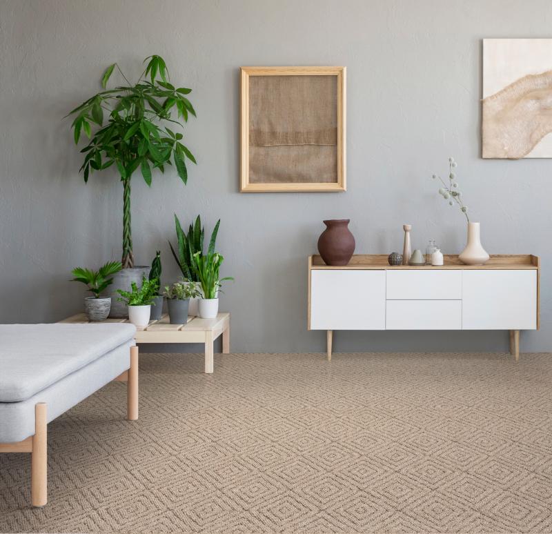 Wall to Wall Carpet