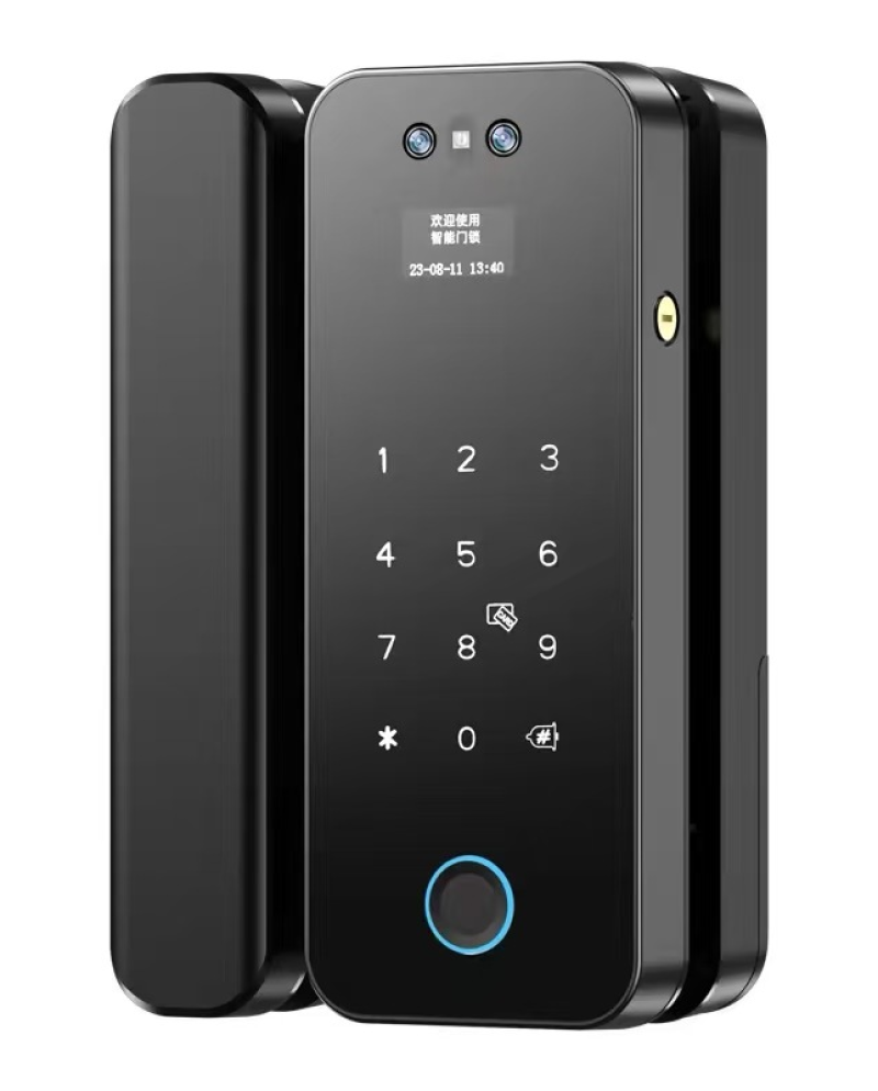 Smart Glass door lock