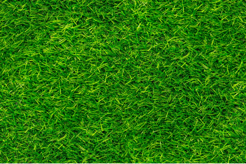 Artificial Grass