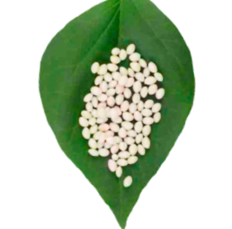 Kompost edilebilir malzeme