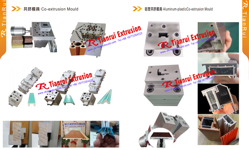 CO-ekstrüzyon Kalıpı