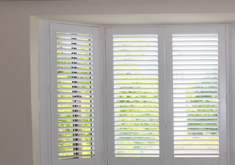 titanium dioxide BR-3663