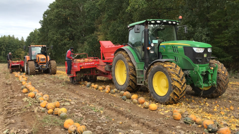 KABAK MAKİNASI KHM-B2