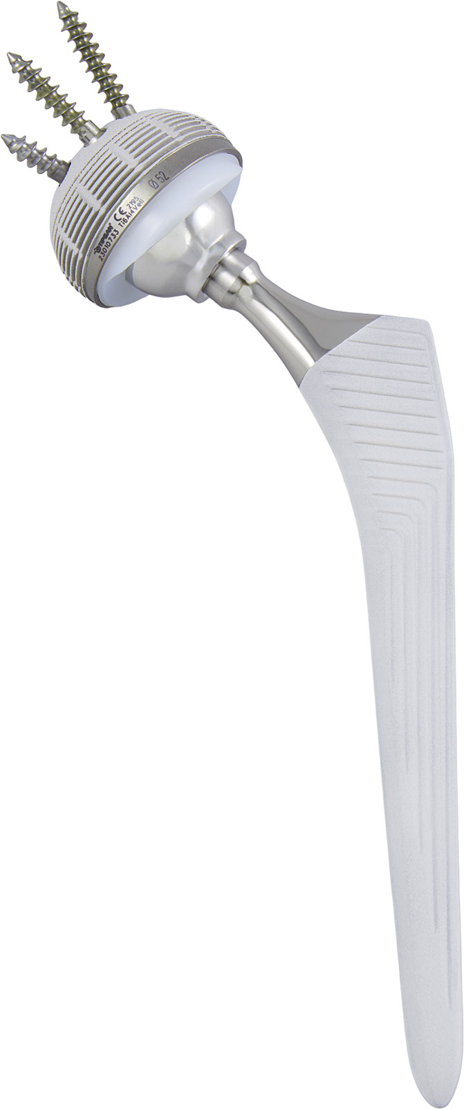 PRİZMA ÇİMENTOSUZ KALÇA STEM