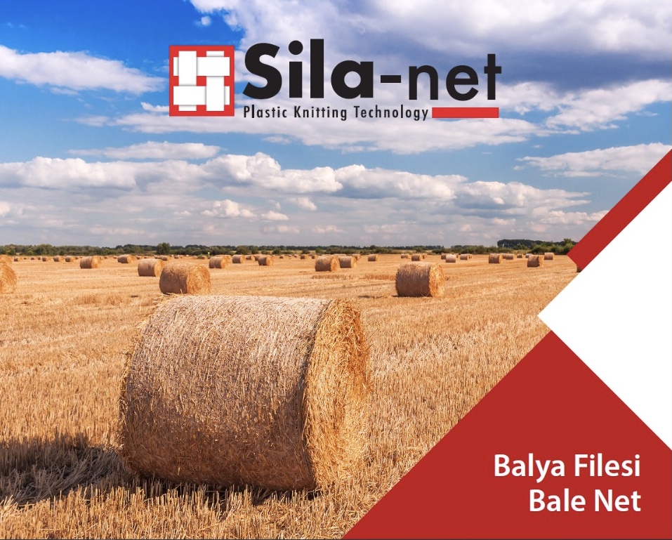 BALYA FİLESİ -SİLA NET