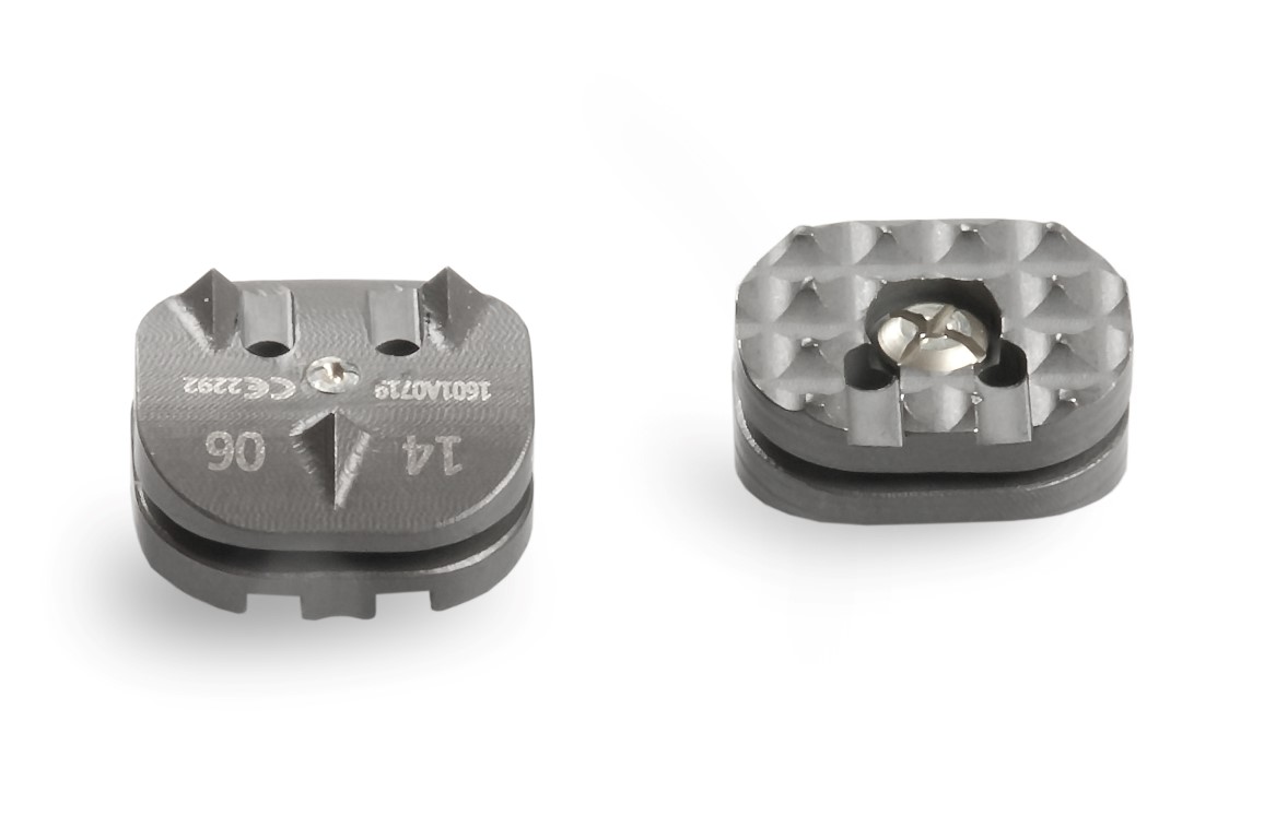 MOBILE DISC PROSTHESIS SYSTEM