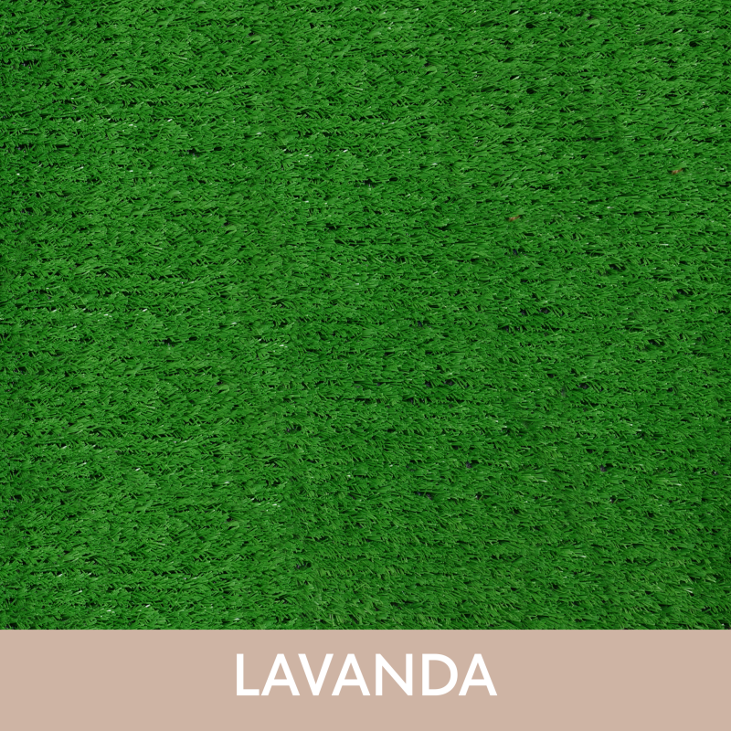 Lavanda