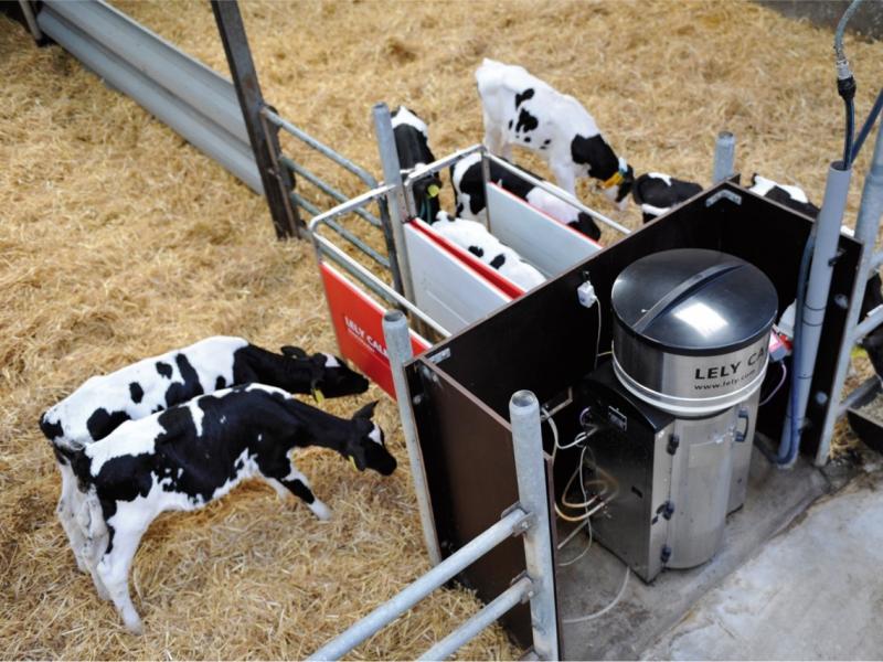 Buzağı Besleme Robotu