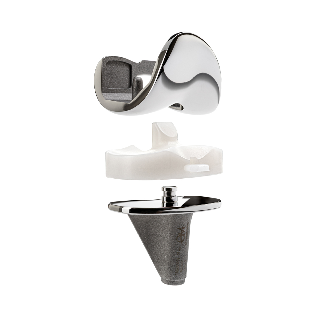 OrtoKnee Knee Prosthesis