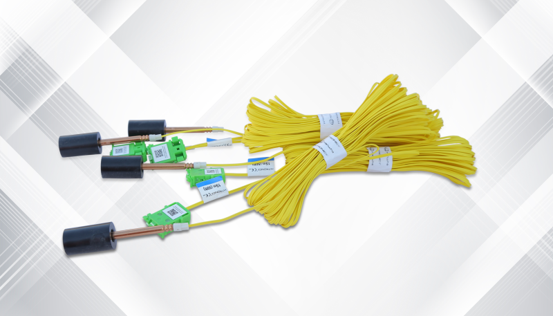 KAPEKS ELEKTRONİK KAPSÜL