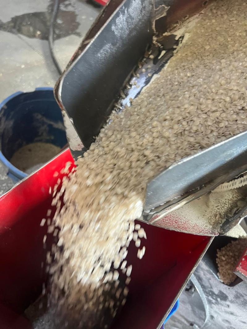 Alçak Yoğunluklu Granul