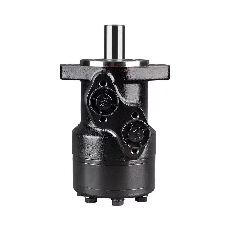 Hydraulic motor and hydraulic steering