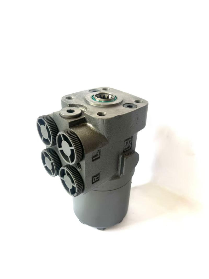 Hydraulic motor and hydraulic steering