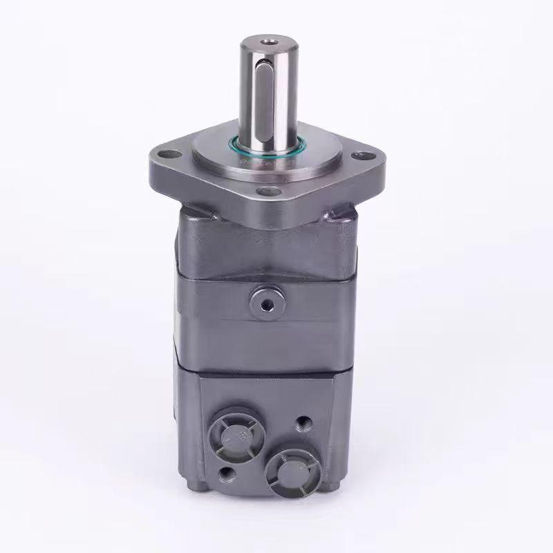 Hydraulic motor and hydraulic steering