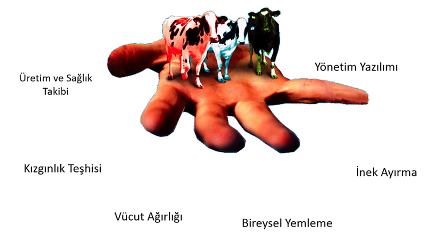 Afimilk Herd Management System