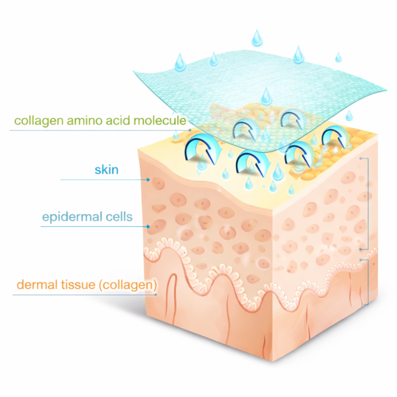 Filagen® Cotton Yarn