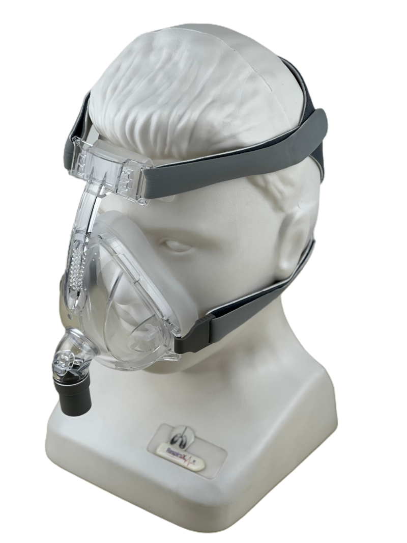 RF01 Full Face Mask