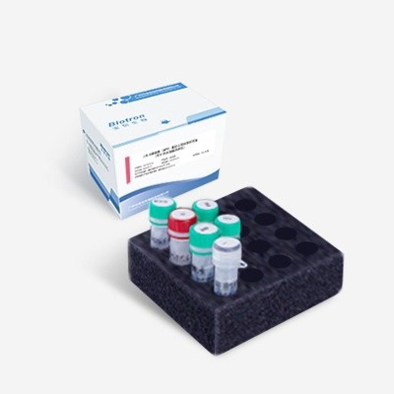 Human Papillomavirus (HPV) 15 Genotype Detection Kit (Fluorescence PCR Melting Curve Method)