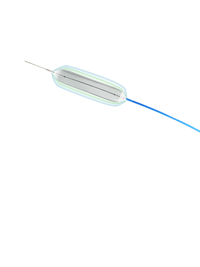 Endoskopik aksesuarlar