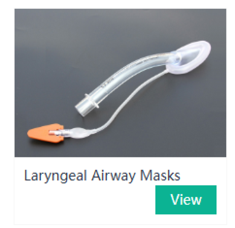 Laryngeal AirwayMasks