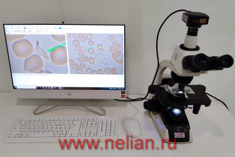 Dianel®-Micro MEDICINE Yazılımı