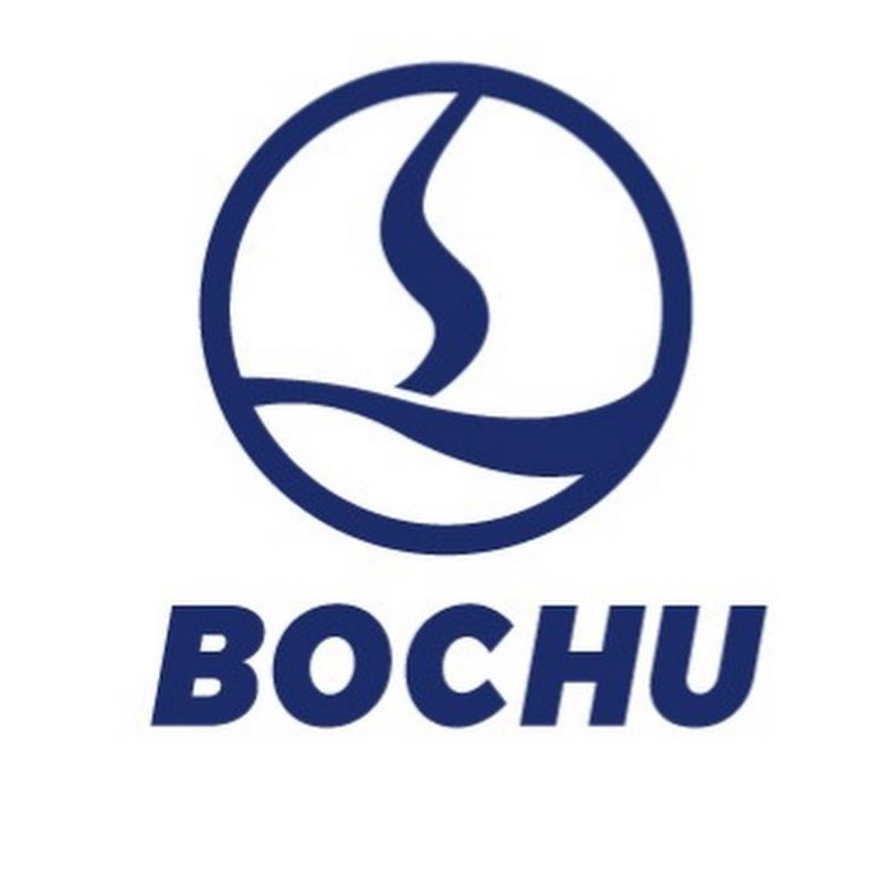 BOCHU KESİCİ KAFA