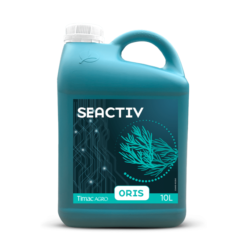 SEACTIV ORIS