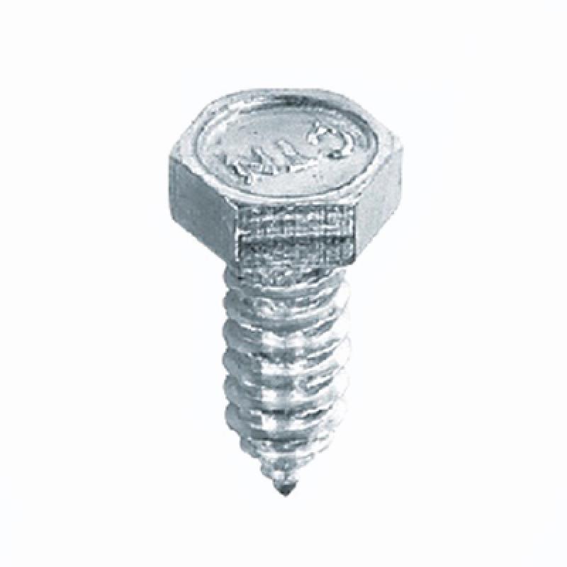 DIN7976 Hexagon Head Tapping Screw