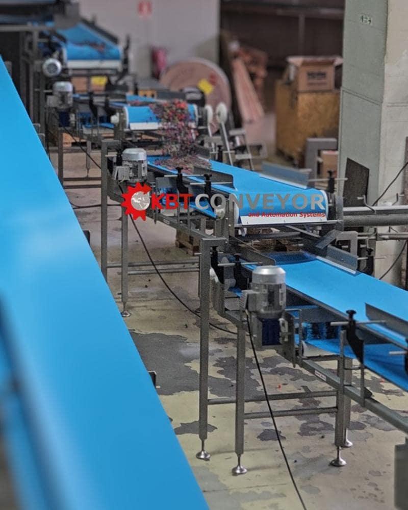 Drive Belt Conveyor - Jelly Line