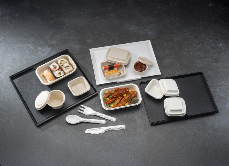 Airlines Solutions
