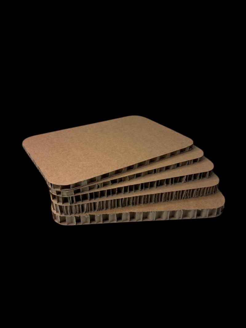 Kağıt Petek Panel