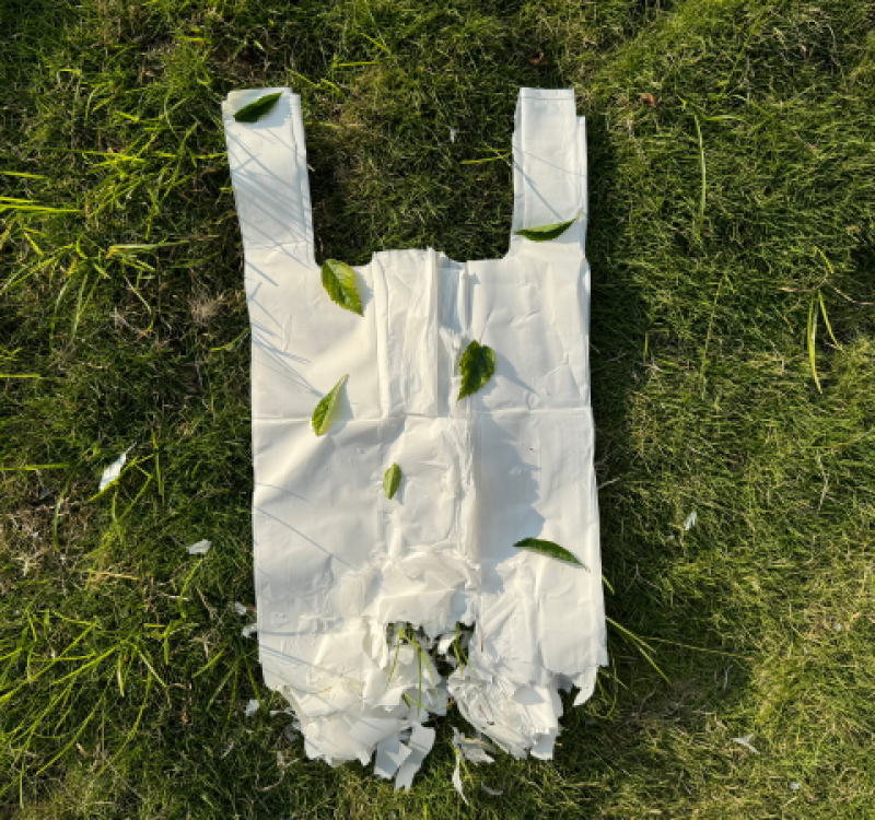 Eco Serisi: Biyobozunur Film ve Poşet Makineleri