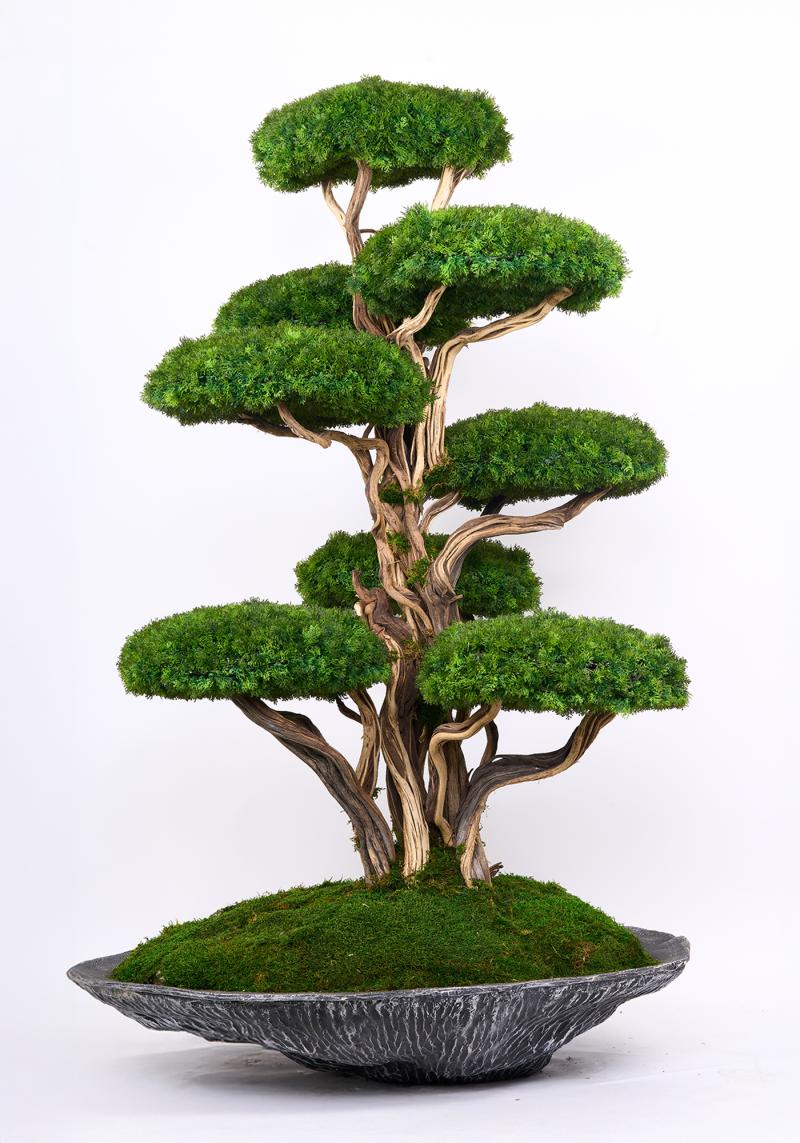 YAPAY BONSAI AĞAÇ & BONSAI TABLO