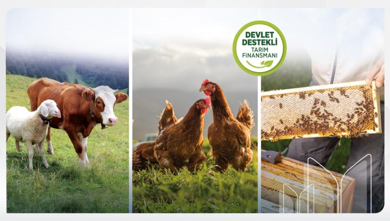 Ziraat Participation Supports Livestock Production Financing