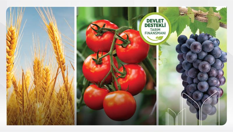 Ziraat Katılım Supports Crop Production Financing