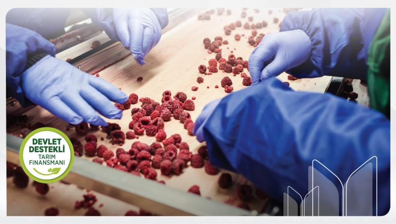 Support for Financing the Processing of Agricultural Products from Ziraat Katılı