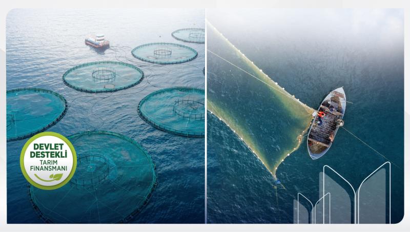 Ziraat Katılım Supports Fisheries Financing