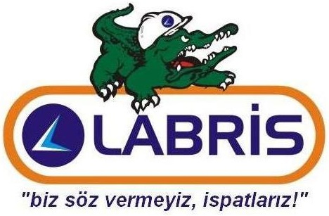 LABRİS MADEN VE MAKİNA SAN. A.Ş.
