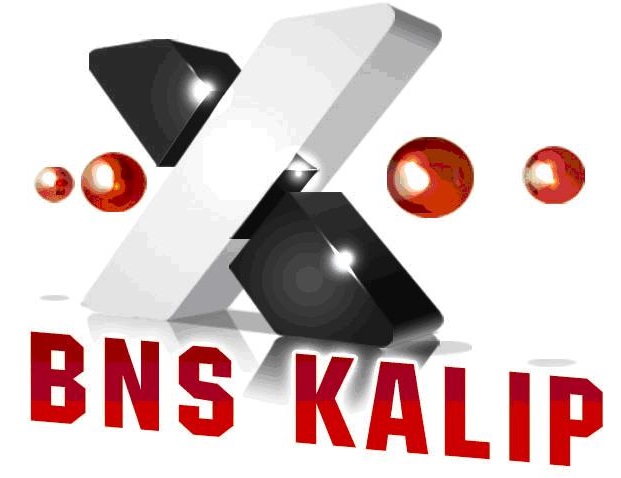 BNS KALIP MAKİNE NAK. İMAL. İHR. İTH. SAN. TİC. LTD. ŞTİ