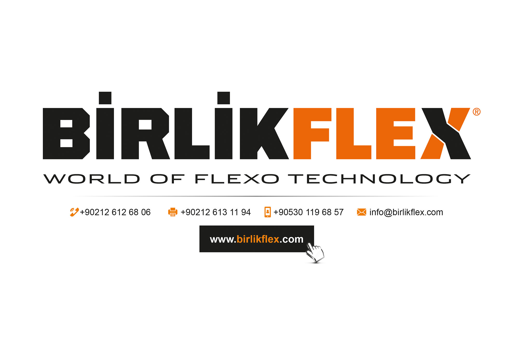 BİRLİKFLEX MAKİNE İMALATI VE PAZARLAMA SAN. TİC. A.Ş. logo