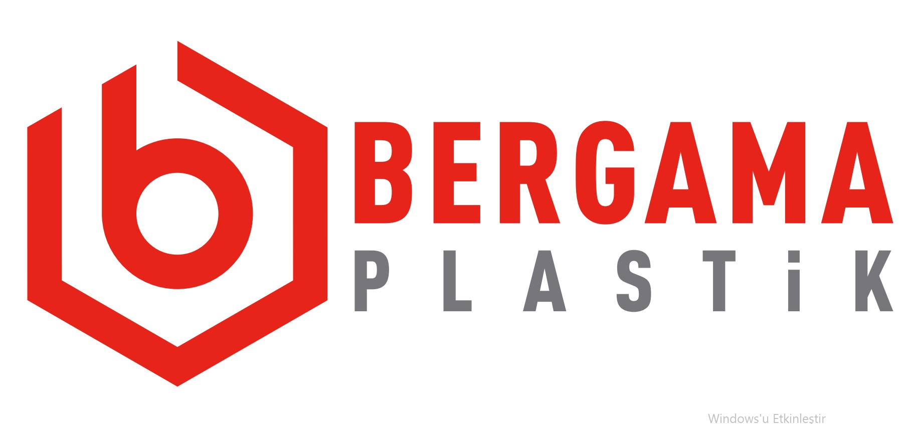BERGAMA AMBALAJ VE POLİMER TEKNOLOJİLERİ ANONİM ŞİRKETİ logo