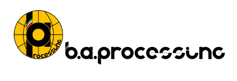 B.A. PROCESSING S.R.L. logo