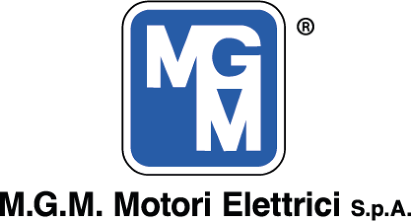 M.G.M. Motori Elettirici